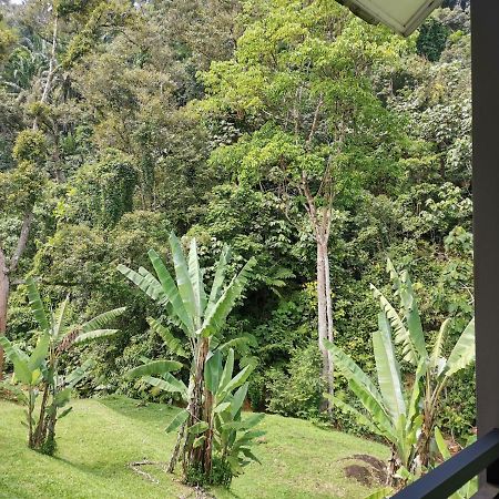 セメントラ ホット スプリング ネイチャー リゾート Gopeng エクステリア 写真
